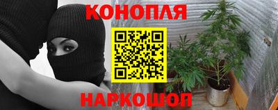 mdpv Кимры