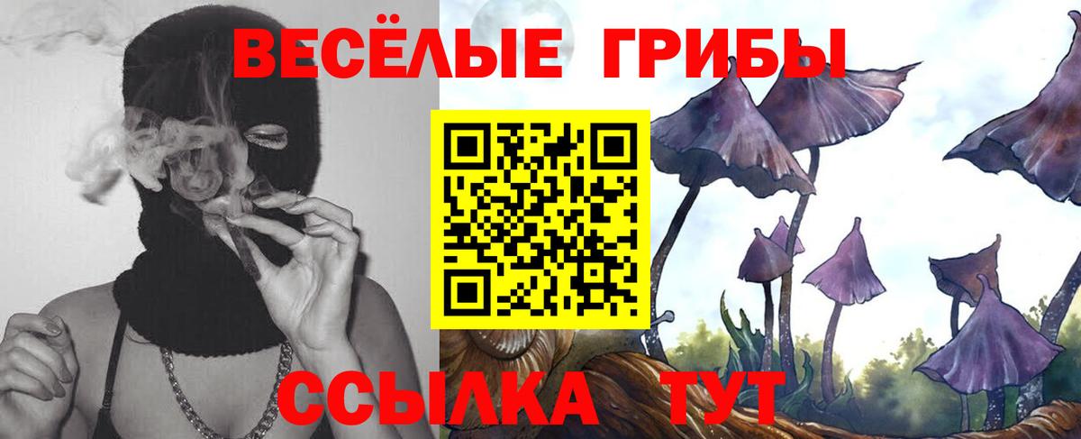Псилоцибиновые грибы Psilocybine cubensis  Вход с VPN  Красноармейск 